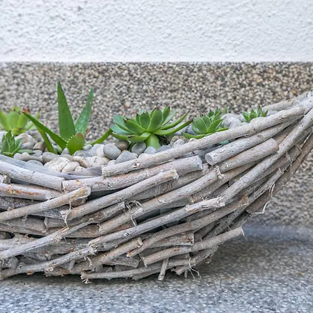 Colosseum View&dreams