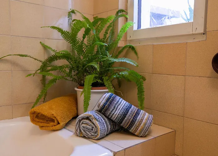 Apartment Colosseum View&dreams Pula