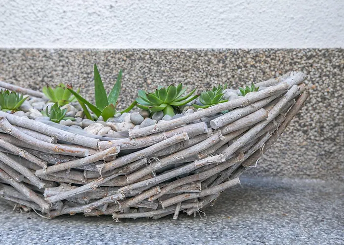 Colosseum View&dreams
